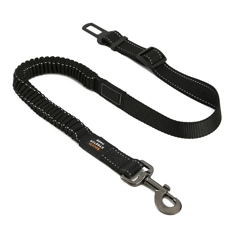 Dog Seat Belt