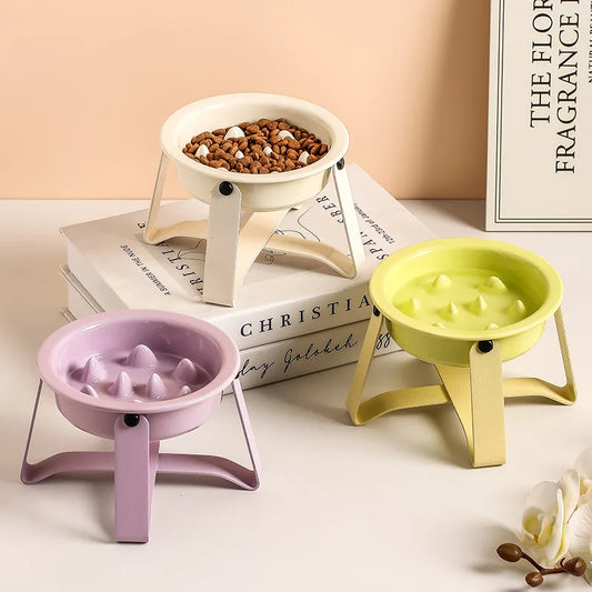 Elevated Slow Feed Bowl